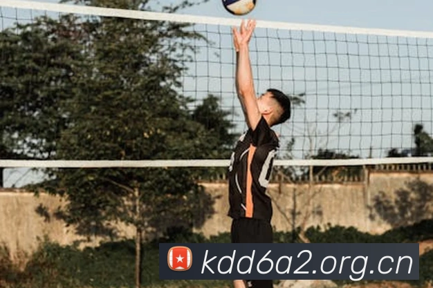 米兰app官方正版官网服务体系